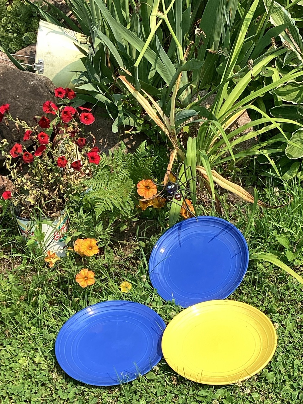 Dinner Plate  11”YELLOW & COBALT BLUE Thomson Pottery  🌼 Yellow Stoneware VNVC